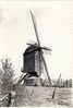 Bouwel  Molen - Grobbendonk