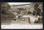 RB 660 - 1903 Postcard The Fish Pond Ramsdale Valley Scarborough Yorkshire - - Scarborough