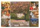 Britain - United Kingdom - Hotel Hougue Du Pommier - Guernsey - Used Postcard [P2246] - Guernsey