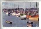 29.- CROZON-MORGAT .- Thonniers Et Chalutiers Dans Le Port  De Morgat - Crozon