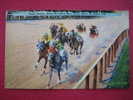 Home Stretch Havre De Grace Race Track- Harve De Grace MD  Linen  ------------------(Ref110) - Other & Unclassified