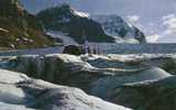 12672     Canada,  Snowmobile On Athabasca,   Columbia  Icefields,  Jasper National, Park,  NV - Jasper
