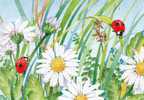 Annet Planten. Tweepunt. Lieveheersbeestje. Ladybug. Coccinelle. Marienkaefer. Nl.Comite Kinderpostzegels. Good . - Insectos