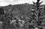 Jocketa Im Vogtland, 1956, Adlerstein - Vogtland