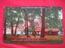 Reelfoot Lake TN   Section Of Picnic Area   ----------------------(ref112) - Autres & Non Classés