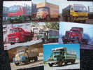 SERIE DA 8 CARTOLINE CAMION  LEYLAND  Periodo 1947/1980 - Camions & Poids Lourds