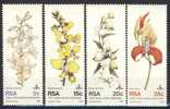 #RSA 1981. Flowers: Orchids. Michel 590-93. MNH(**) - Ungebraucht