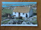 THATCHED COTTAGE CONNEMARA 1993 - Galway