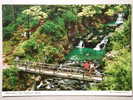 Watersmeet, Near Lynmouth, Devon, Brücke Bridge Pont - Lynmouth & Lynton