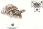 Zil Elwannyen 1985: FDC  Tortues  2r - Seychelles (1976-...)