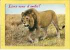 CPM MT14  LION Dans La Savane Avec Annotation LIONS-NOUS D´AMITIE ! - Carte Circ.1968 BOURGES Cher (voir Descrip) - Löwen