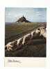 Carte Environ 1980 Signée Albert Monier - MONT ST MICHEL DIGUE A MAREE BASSE ET MOUTONS - Monier