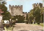 Lot Et Garonne - Nérac , Chateau Du Tasta , Ed Photo Cim - Nerac