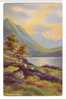 UK  Northern Wales DINAS LAKE  Litho  Sheep - Unknown County