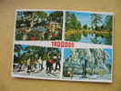 TROODOS ;winter Sports - Chypre