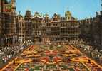 Bruxelles Brussel Grand´ Place Tapis De Fleurs Blason Très Belle Carte - Fiestas, Celebraciones