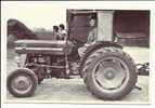 37   TOURAINE    RETOUR  DES  VENDANGES   (Tracteur   Massey  Ferguson) - Tracteurs