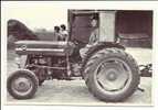 37   TOURAINE    RETOUR  DES  VENDANGES   (Tracteur   Massey  Ferguson) - Tractors
