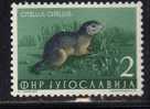 U-47  JUGOSLAVIA FAUNA USED - Unused Stamps
