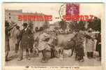 MARCHEs Aux BOEUFS - Conclusion D'un Marché - Champ De Foire De Limoges - Dos Scané - Foires