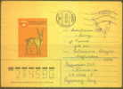 RUSSIA USSR 0030 Cover Postal History Military Mail Fauna Animals - Lettres & Documents