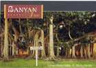 USFlorida+ Ft. Myers Edison Winter Home Banyan Tree - Fort Myers
