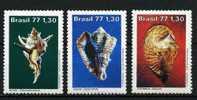 Brazil 1977 Mi.No. 1604 - 1606 Brasilien Shells Marine Life 3v MNH** 3,60 € - Unused Stamps