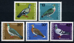 Bulgaria 1984 MiNr. 3273 - 3277 Bulgarien Vogel Birds Columbiformes 5v  MNH** 3,50 € - Pigeons & Columbiformes