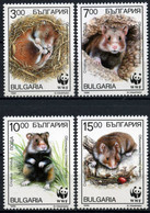 Bulgaria 1994 MiNr. 4124 - 4127 Bulgarien Mammals WWF European Hamster 4v MNH** 5,00 € - Rodents