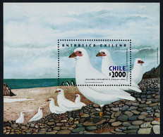 Chile 2001 MiNr. (Block 52) South Pole  Antarctic Wildlife Birds Snowy Sheathbill 1bl MNH** 13,00 € - Fauna Antartica