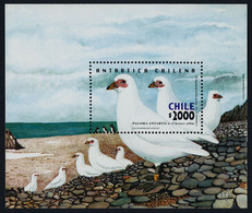 Chile 2001 MiNr. (Block 52) South Pole  Antarctic Wildlife Birds Snowy Sheathbill 1bl MNH** 13,00 € - Antarctic Wildlife