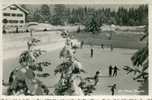 Flims. Eisrink. 223. Flims Waldhaus 1936. Helvetia 20. Eisbahn. Piste De Patinage. Schaatsbaan. Suisse.Zwitzerland. - Flims