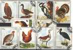 1972, Sharjah,  Farm Birds - Oiseaux - Uccelli - Pajaros, Vogels, Used - Schardscha