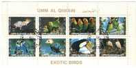 1972 , Umm Al Qiwain ,Oiseaux ,exotic Birds , Vogels, Pajaros, Block, Used - Umm Al-Qaiwain