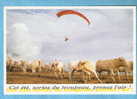 CP -Parapente Alpes D'Huez 1992- Troupeau De Vaches - Cet été, Sortez Du Troupeau, Prenez L'air ! - Parachutespringen