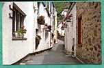 POLPERRI Village . The Harbour , Polperro , Cornwall. - Andere & Zonder Classificatie