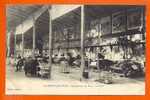 LAMOTTE BEUVRON  -  Sanatorium Des  Pins - La Cure ( Petit Accroc ) - Lamotte Beuvron