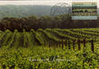 Vignobles De Margaret River  . 'Australie-Occidentale, .   Une Carte-maximum 1992 - Vins & Alcools