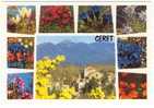 CERET - Multivues - Ceret