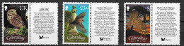 Gibraltar 2012 MiNr. 1481 - 1483 Nightjar, Flycatcher, Owls, Birds 3v MNH**. 12,50 € - Gufi E Civette