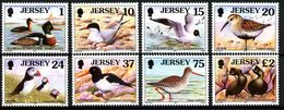 Jersey 1997 MiNr. 765 - 772 Sea And Wading Birds I 8v MNH** 12,00 € - Palmípedos Marinos