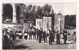 17372 Sainte Anne D´auray, (France 56) Pélerinage Procession Monument Morts . 0424 Jos Bannières - Lugares Santos