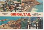 (GIB1) GREETINGS FROM GIBRALTAR - Gibraltar