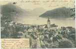 SUISSE VIERWALDSTATTERSEE VITZNAU  PRECURSEUR 1904 - Wald