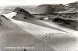 Germany Picture Postcard North Sea Island Of Sylt Posted 1968 - Sylt