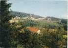 Mont De L'Enclus / Kluisberg - Panorama -1971 - Mont-de-l'Enclus