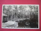 Real Photo   Along The Walkway Okefenokee Swamp Park Waycross Ga  EKC Box-------(ref 122) - Albany