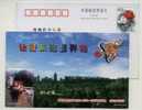 Roman God Of Love,Cupid Arrow,Horse Wagon,carriage,CN 01 Shenyang Wedding Ceremony Park Pre-stamped Card - Diligences