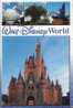 USA-Postcard 2004- Walt Disney World - 2/scans - Disneyworld