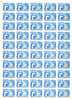 FC5637-39 - URSS 1989 - La  Belle  SERIE  3  FEUILLES  Entières Neuves**  50 Timbres  N° 5637 à 5639 (YT) - Bonne Valeur - Full Sheets